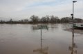 Hochwasser Seligenstadt 18.01.2011 019